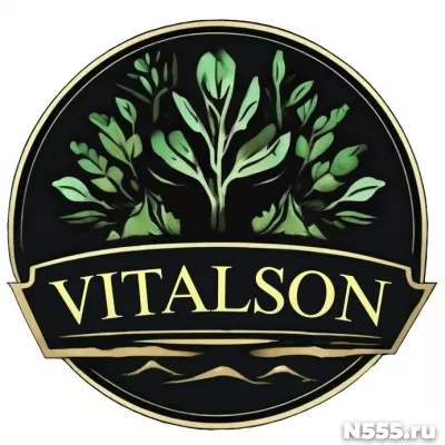 Виталсон. Асфальт. Грунт. Чехов. Серпухов. Ступино. Подольск фото 2